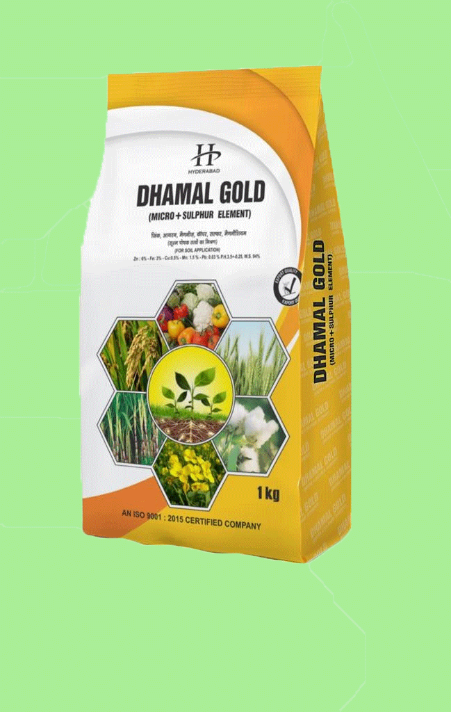 dhamal-g