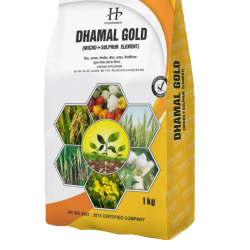 dhamal-gold